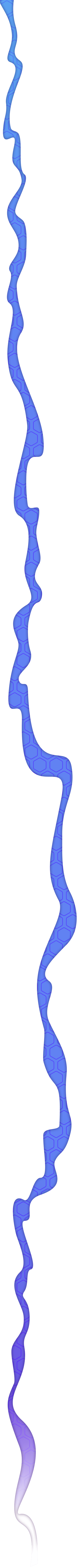 Blue Trail