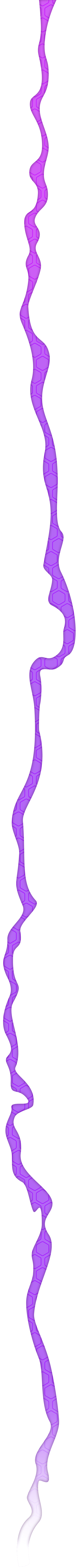 Purple Trail